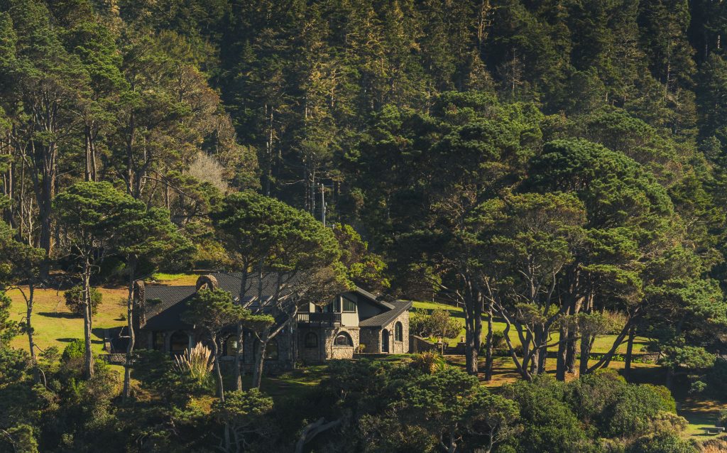 Maison forestière entourée de verdure luxuriante
