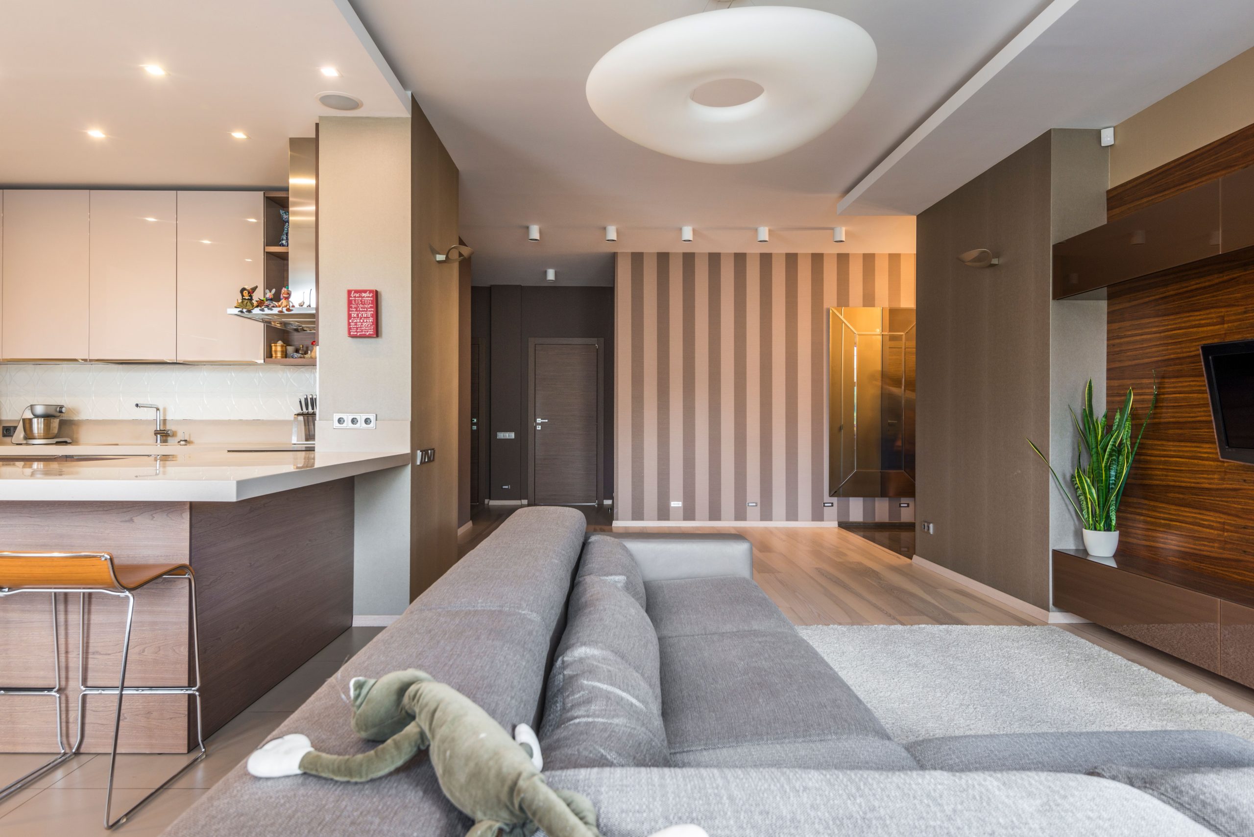 Salon spacieux design minimaliste cuisine ouverte