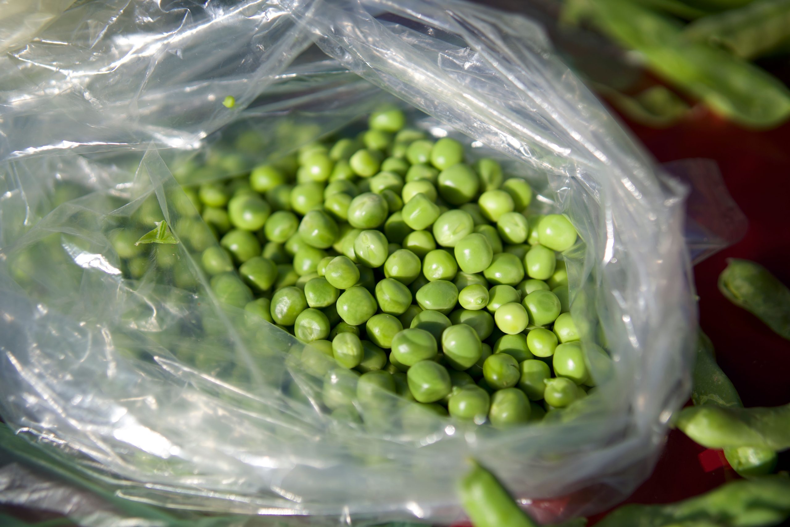 Petits pois frais sac congelation