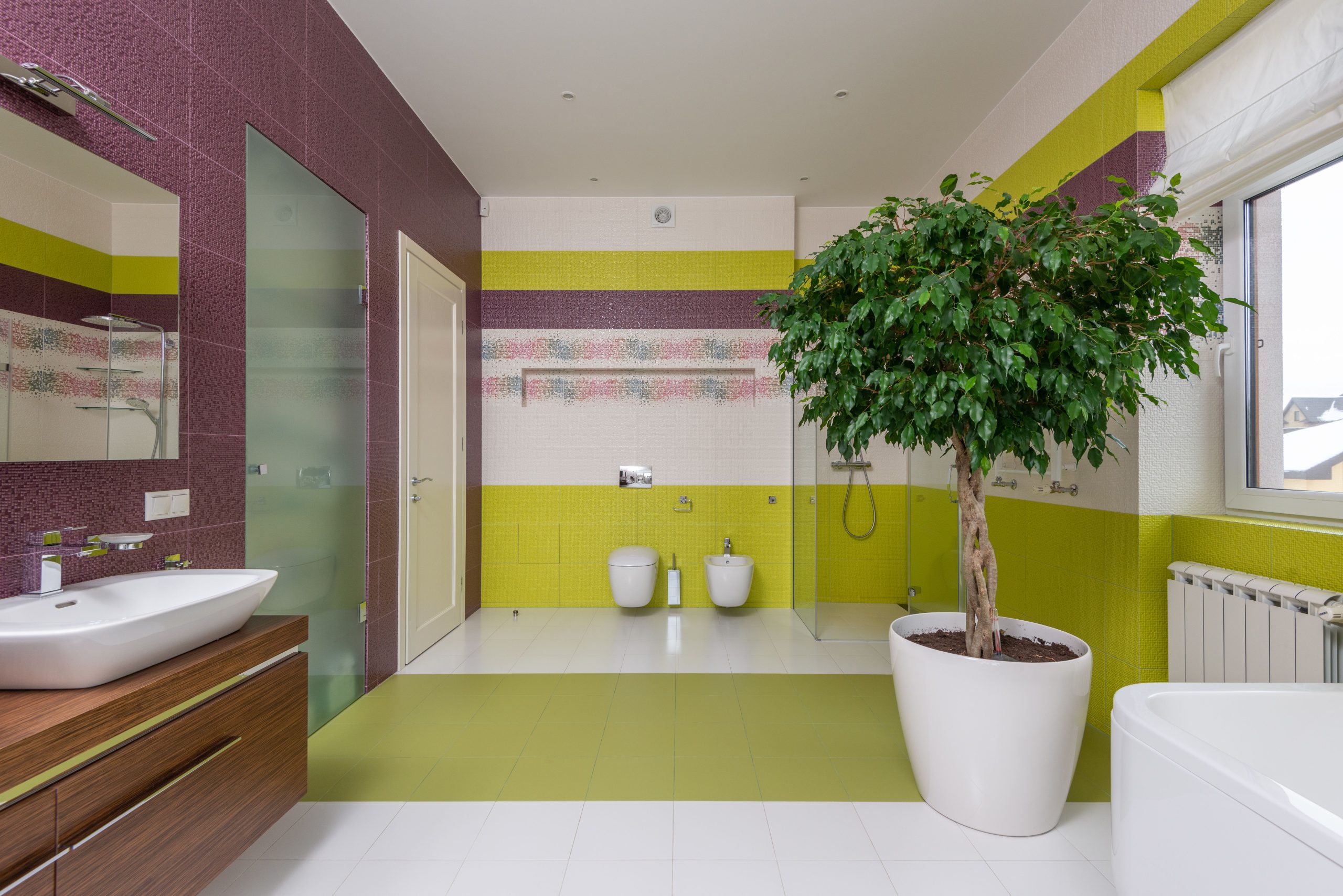 Salle de bain colorée avec plante en pot