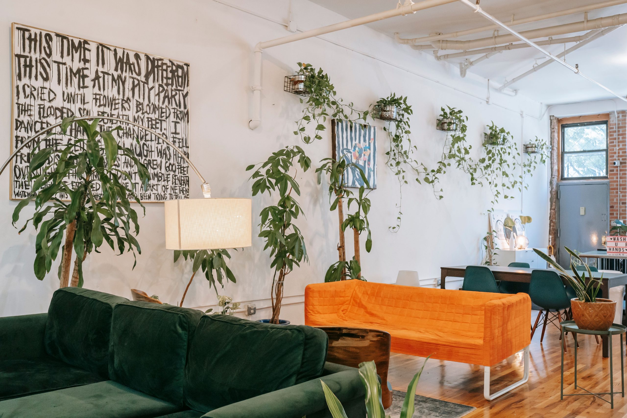 Salon cosy avec canapés et plantes grimpantes